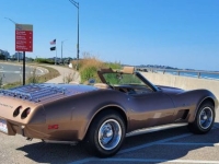1975 Chevrolet Corvette for sale in Michigan (ID-143556)
