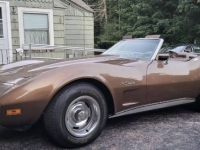 1975 Chevrolet Corvette for sale in Michigan (ID-143556)