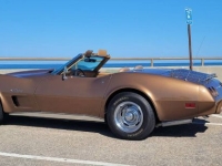 1975 Chevrolet Corvette for sale in Michigan (ID-143556)
