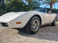 1975 Chevrolet Corvette for sale in Michigan (ID-145888)