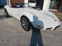 1975 Chevrolet Corvette for sale in Michigan (ID-145888)