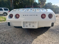 1975 Chevrolet Corvette for sale in Michigan (ID-145888)