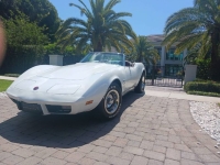1975 Chevrolet Corvette for sale in Michigan (ID-145888)