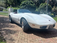 1975 Chevrolet Corvette for sale in Michigan (ID-145888)