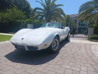 1975 Chevrolet Corvette for sale in Michigan (ID-145888)