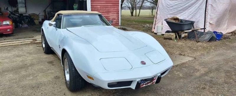 1975 Chevrolet Corvette for sale in Michigan (ID-162583)