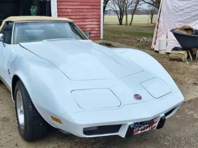 1975 Chevrolet Corvette for sale