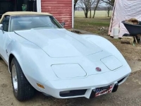 1975 Chevrolet Corvette for sale in Michigan (ID-162583)