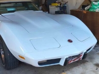 1975 Chevrolet Corvette for sale in Michigan (ID-162583)
