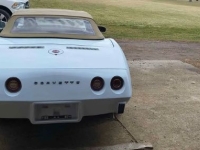 1975 Chevrolet Corvette for sale in Michigan (ID-162583)