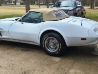 1975 Chevrolet Corvette for sale in Michigan (ID-162583)