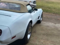 1975 Chevrolet Corvette for sale in Michigan (ID-162583)