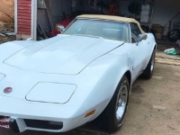 1975 Chevrolet Corvette for sale in Michigan (ID-162583)