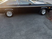 1975 Chevrolet Cosworth for sale in Michigan (ID-162301)