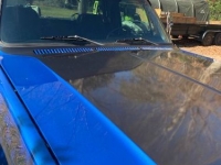 1975 Chevrolet Deluxe for sale in Michigan (ID-119081)