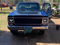 1975 Chevrolet Deluxe for sale in Michigan (ID-119081)