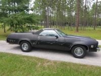 1975 Chevrolet El Camino for sale in Michigan (ID-96815)