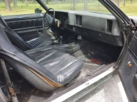 1975 Chevrolet El Camino for sale in Michigan (ID-96815)
