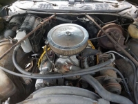1975 Chevrolet El Camino for sale in Michigan (ID-96815)