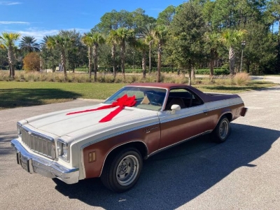 1975 Chevrolet El Camino for sale