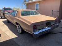 1975 Chevrolet Monte Carlo for sale in Michigan (ID-98095)