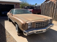 1975 Chevrolet Monte Carlo for sale in Michigan (ID-98095)
