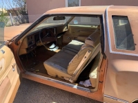 1975 Chevrolet Monte Carlo for sale in Michigan (ID-98095)