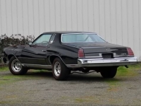 1975 Chevrolet Monte Carlo for sale in Addison, Illinois (ID-126970)