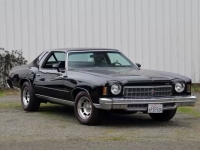 1975 Chevrolet Monte Carlo for sale in Addison, Illinois (ID-126970)