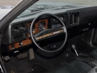 1975 Chevrolet Monte Carlo for sale in Addison, Illinois (ID-126970)