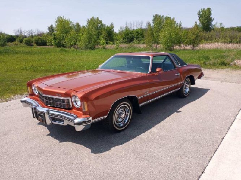 1975 Chevrolet Monte Carlo for sale in Michigan (ID-163973)
