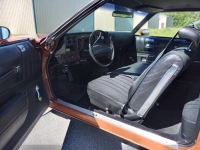 1975 Chevrolet Monte Carlo for sale in Michigan (ID-163973)