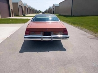1975 Chevrolet Monte Carlo for sale in Michigan (ID-163973)