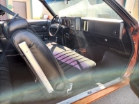 1975 Chevrolet Monte Carlo for sale in Michigan (ID-163973)