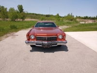1975 Chevrolet Monte Carlo for sale in Michigan (ID-163973)