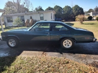 1975 Chevrolet Nova for sale in Michigan (ID-112006)