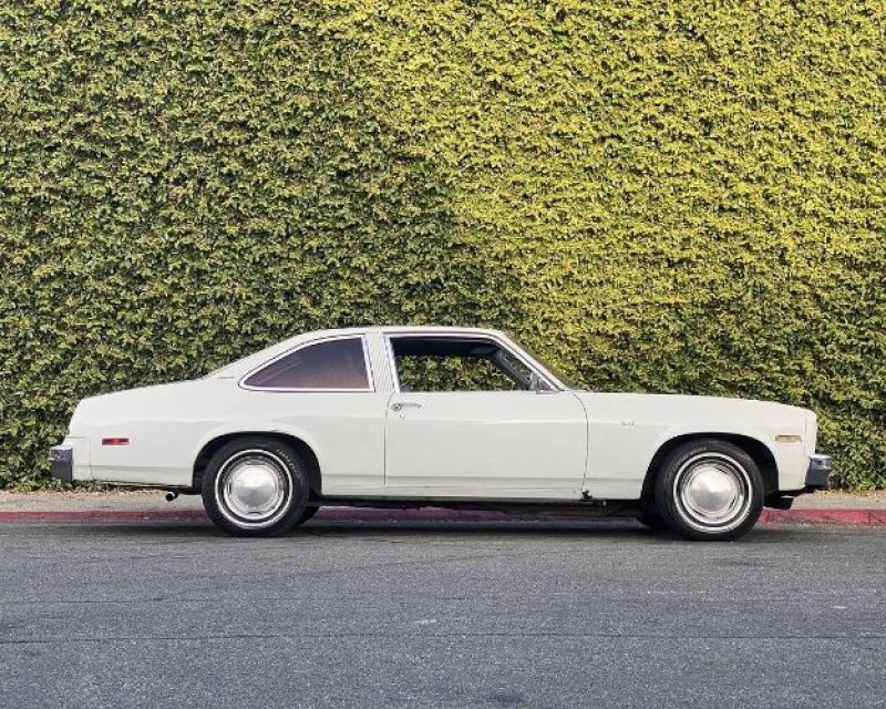 1975 Chevrolet Nova for sale in Michigan (ID-130854)