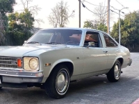 1975 Chevrolet Nova for sale in Michigan (ID-130854)
