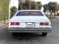 1975 Chevrolet Nova for sale in Michigan (ID-130854)