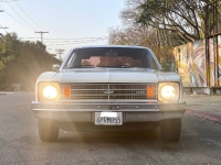 1975 Chevrolet Nova for sale in Michigan (ID-130854)