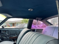 1975 Chevrolet Nova for sale in Michigan (ID-131078)