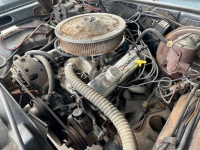 1975 Chevrolet Nova for sale in Michigan (ID-131078)