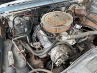1975 Chevrolet Nova for sale in Michigan (ID-131078)