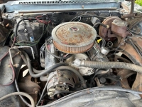 1975 Chevrolet Nova for sale in Michigan (ID-131078)