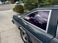 1975 Chevrolet Nova for sale in Michigan (ID-131078)