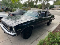 1975 Chevrolet Nova for sale in Michigan (ID-131078)
