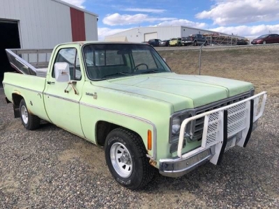 1975 Chevrolet Pickup for sale