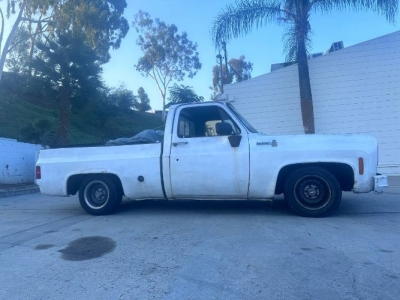 1975 Chevrolet Silverado for sale