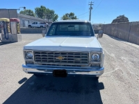1975 Chevrolet Silverado for sale in Michigan (ID-138456)