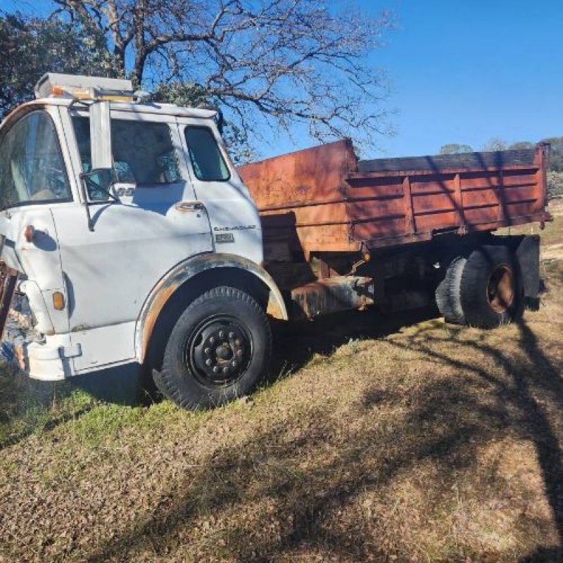 1975 Chevrolet Truck for sale in Michigan (ID-118910)